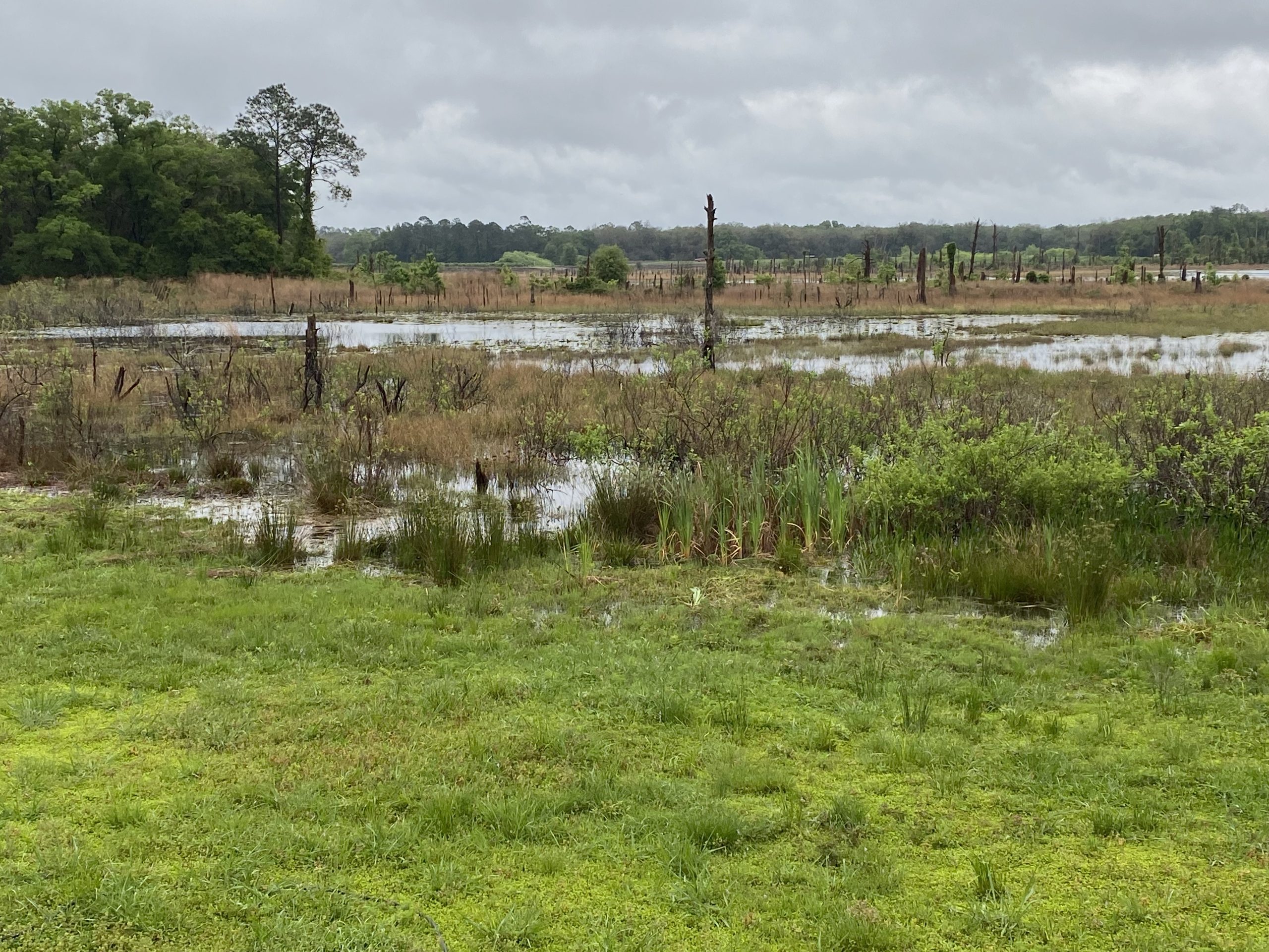 Lake view in Grandin